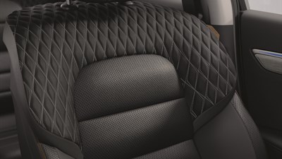 رينو كوليوس - منظر مقرب لحيز الأمتعة